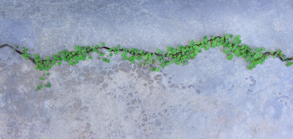 Bærekraft og begreper - hva og hvorfor?